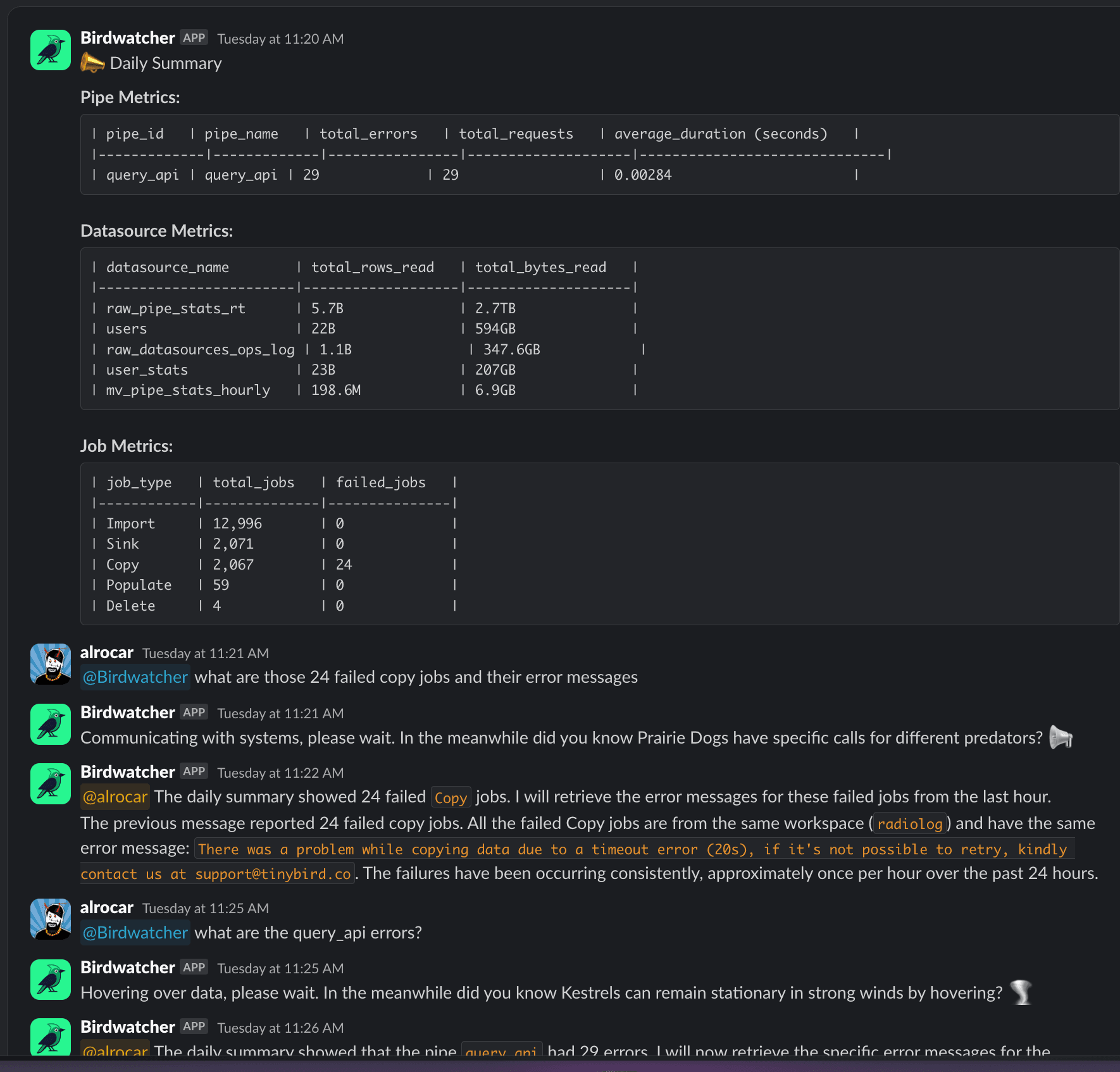 Birdwatcher Slack notification
