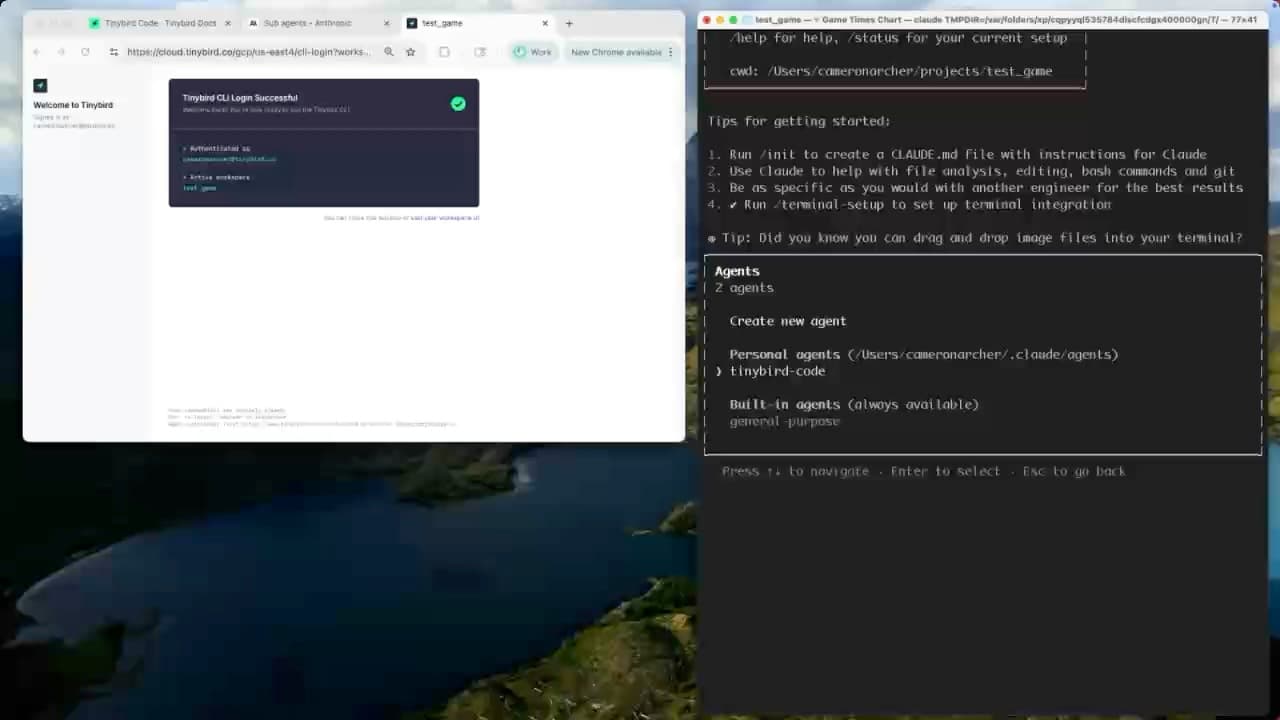 Claude Code agents interface showing the new Tinybird Code sub-agent